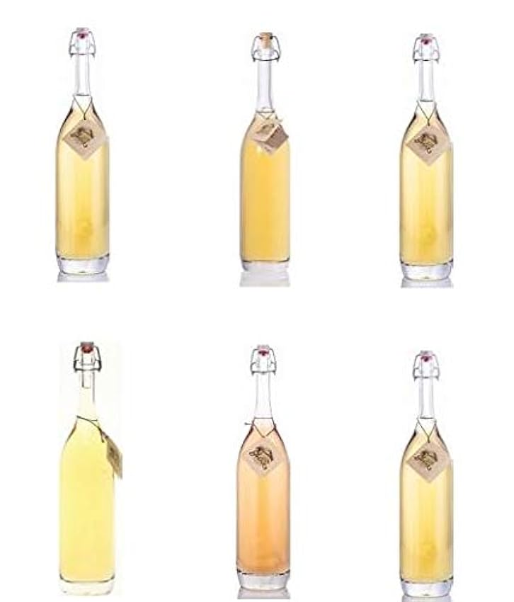 beliebt 6 Flaschen Prinz Mix 6 Sorten/Haselnuss, Zwetschge, Bodensee Apfel, Williams Birne, Marille, Himbeere a 700ml 41% Vol. in Bügelflasche nxDYfIne Online-Shop